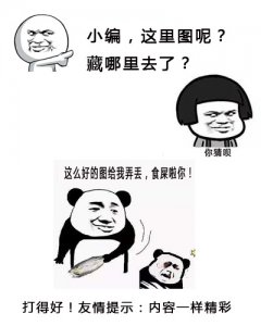 ​樱木凛被弄哭是哪一部 樱木凛是双胞胎吗