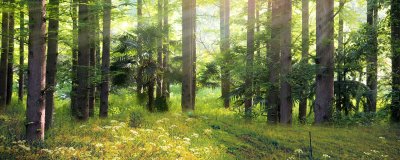 ​湖南算北方还是算南方人