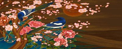 ​喜鹊是益鸟还是害鸟