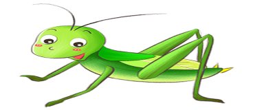 ​绿蝈蝈的寿命