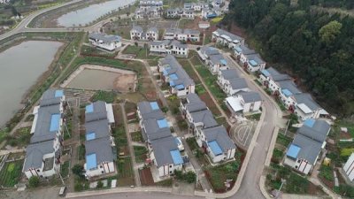 ​安岳县属于哪个市（四川省资阳市安岳县特产）