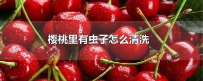 ​樱桃怎样清洗才能干净有寄生虫吗视频 樱桃怎样清洗才能干净有寄生虫吗能吃吗