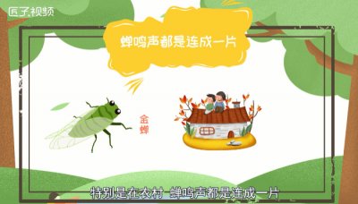 ​知了为什么要叫