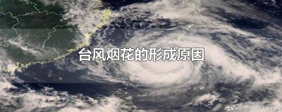 ​台风烟花形成的原因是什么现象 台风烟花是什么造成的
