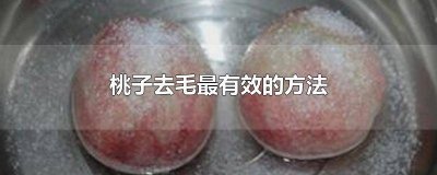 桃子怎样快速去毛 桃子如何去毛