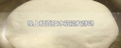 晚上和好的面为啥要放冰箱冷藏发酵 晚上和面放冰箱发酵第二天做可以吗?