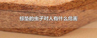 ​棕垫易生虫吗 棕垫里面的虫是什么虫会咬人吗