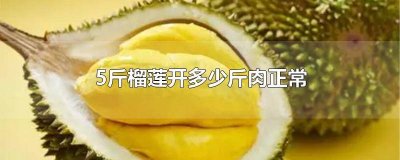4.5斤榴莲开多少斤肉正常 5斤榴莲开多少斤肉正常