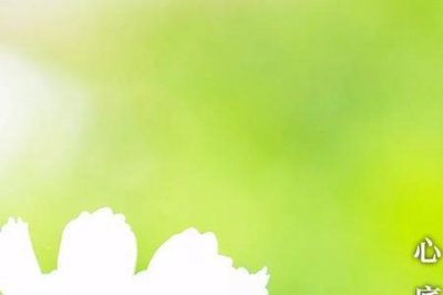 心地无私天地宽下一句是什么