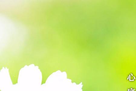 心地无私天地宽下一句是什么