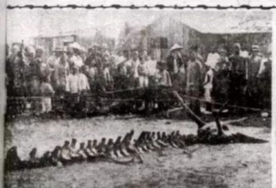 中国第一个永久性高山气象站——泰山气象站解读风云前哨第一站 泰山顶上观气象