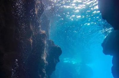 美人鱼真的存在揭开美人鱼神秘面纱