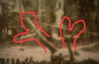 ​真龙现身事件真相 真龙行云布雨显露真身引热议