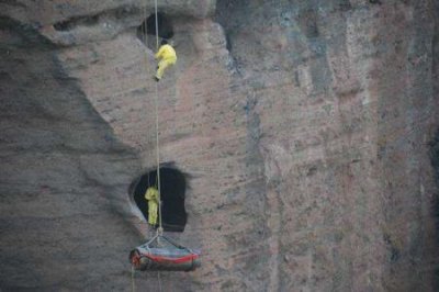 ​普鲁斯鳄有几米长形似超大载货卡车仅头长可达1.5米