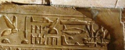 ​全世界最大的游轮，投资70亿重达22万吨