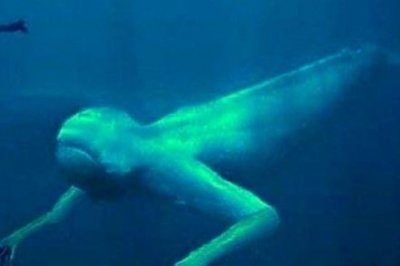 ​宝葫芦的谜团中谁是大钓鱼家钓鱼谁也赛不过他