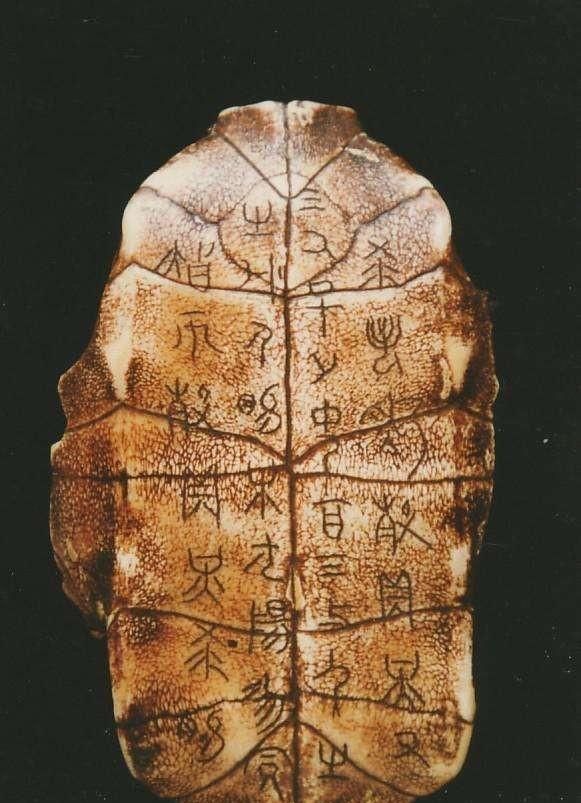 第一个有文字记载的王朝,《史记》写成前,各个朝代的历史有文字记载吗,有哪些?图6