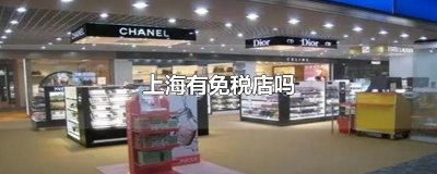 ​上海有免税店吗