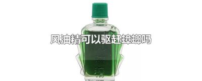 ​风油精可以驱赶蟑螂吗