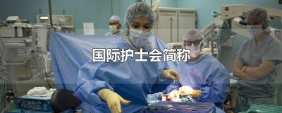​国际护士会简称
