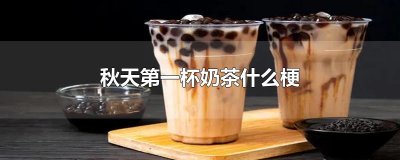 ​秋天第一杯奶茶什么梗
