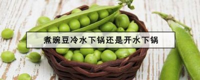​煮豌豆冷水下锅还是开水下锅（豌豆焯水用冷水还是热水）