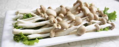 ​蟹味菇为什么要焯水