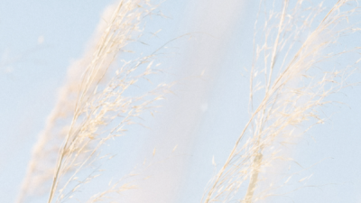 ​简单不简约是什么意思,简约是什么意思?简单是什么意思?一样吗?