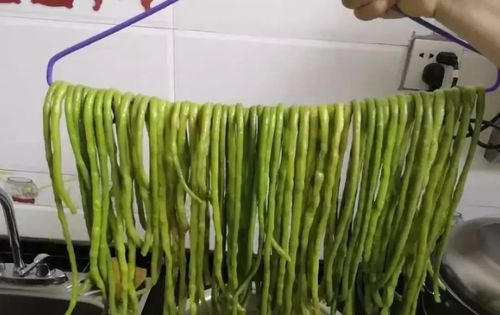 泡豇豆怎么保存