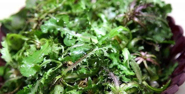 农村田里一野菜，味道极苦却遭人喜欢，现在正当季