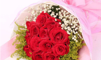 11年结婚纪念日送什么花