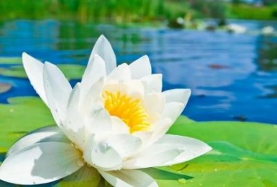 ​谈谈熬更守夜的心情少熬更守夜爱自己好好生活比什么都重要