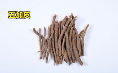 ​五加皮的功效与作用 《本草纲目》中记载：治风湿痿痹，壮筋骨。