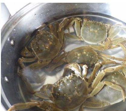 大闸蟹死了能做香辣蟹,大闸蟹可以做成香辣蟹吗图3