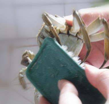 大闸蟹死了能做香辣蟹,大闸蟹可以做成香辣蟹吗图4