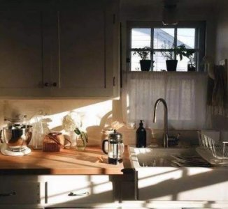 ​家里蟑螂多怎么办 居家消灭蟑螂有妙招