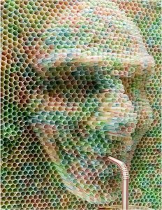 ​你有没有密集恐惧症？看完这组图就知道了