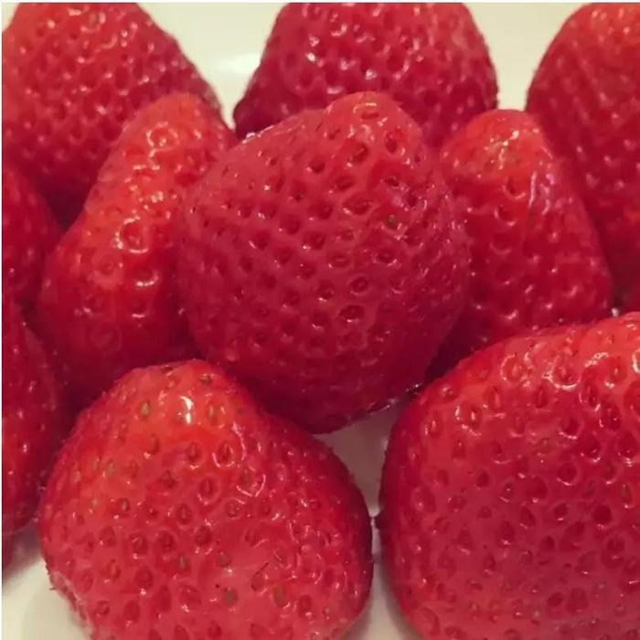 你有没有密集恐惧症?看完这组图就知道了