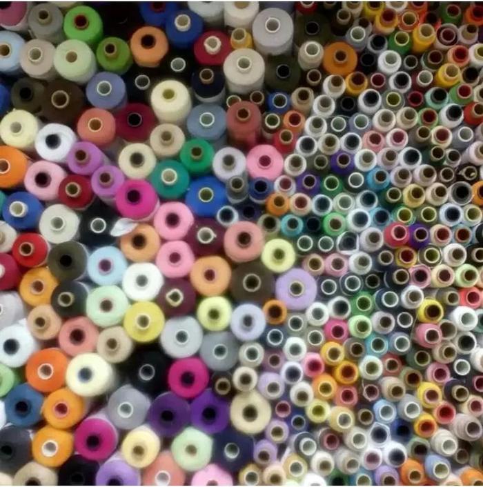 你有没有密集恐惧症?看完这组图就知道了