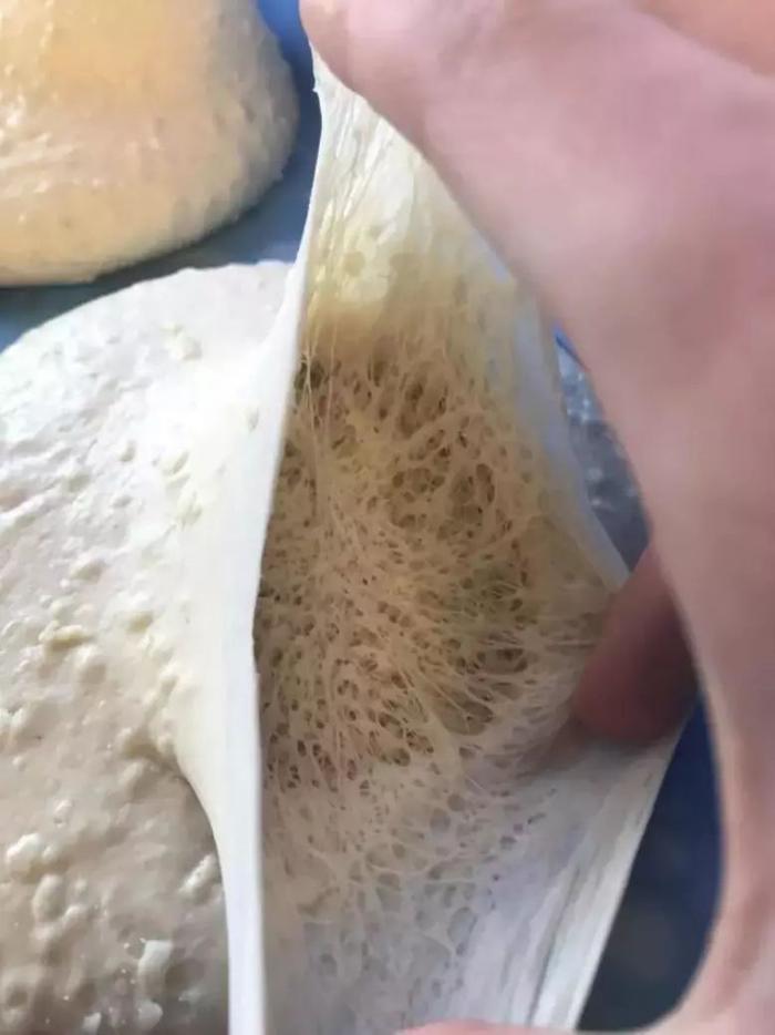 你有没有密集恐惧症?看完这组图就知道了