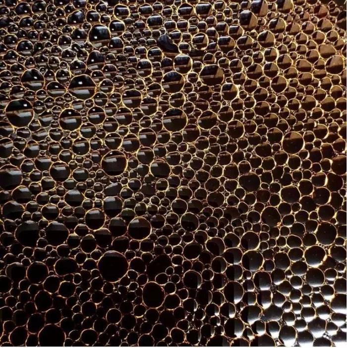 你有没有密集恐惧症?看完这组图就知道了