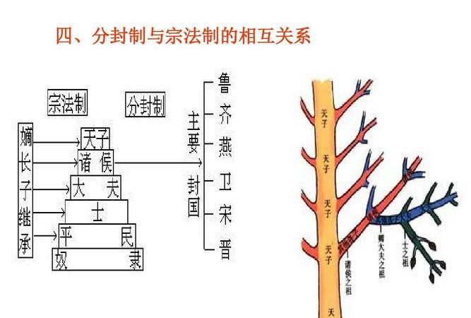 1、宗法制和分封制关系如何?