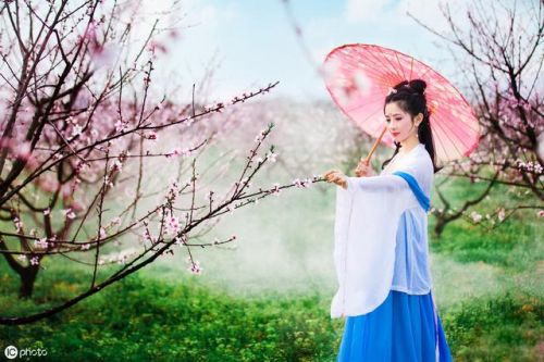 八字算桃花免费(八字算桃花运何时出现免费)-第1张图片-