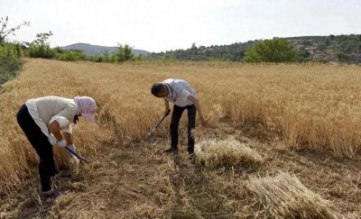 ​我和岳父的那一夜（二）