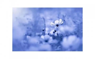 ​韩商言情商高吗（表白后女生不知道说什么）