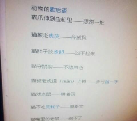 骑驴看唱本走着瞧是什么意思