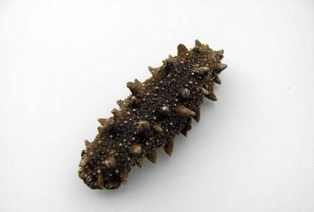 海茄子参有什么营养价值吗