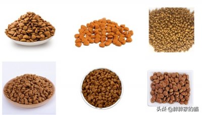 ​手把手教你选出好猫粮，以冠能猫粮为例上手测评