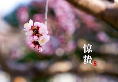​惊蛰三候：一候桃始华;二候仓庚鸣;三候鹰化为鸠