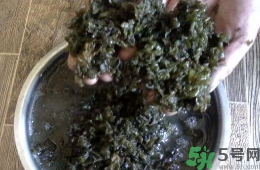 地皮菜可以和丝瓜一起吃吗?地皮菜能和丝瓜同吃吗? 地皮菜可以和丝瓜一起吃吗?地皮菜能和丝瓜同吃吗?